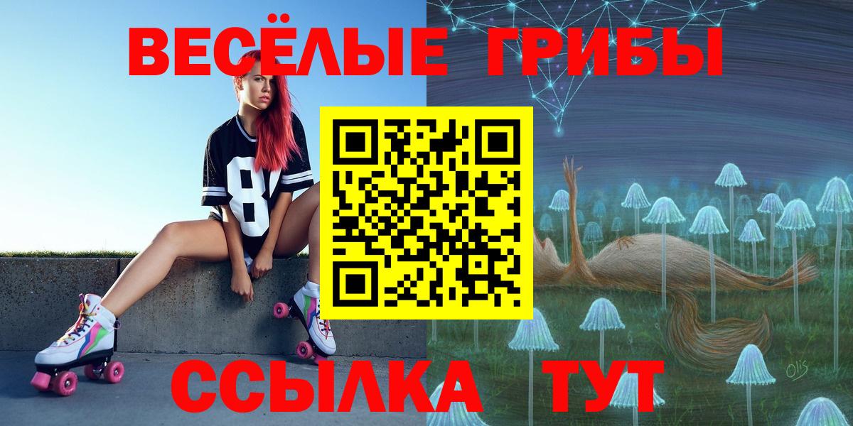 Псилоцибиновые грибы Psilocybe  Вход с VPN  Ипатово 