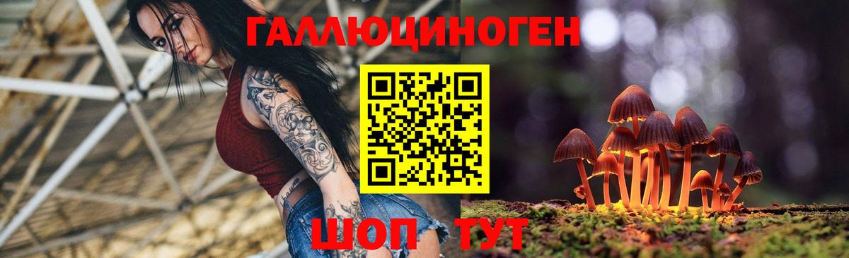 Галлюциногенные грибы Psilocybe Ипатово